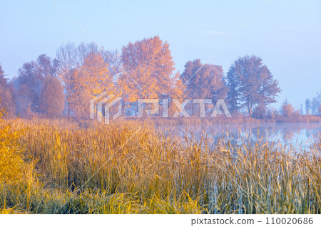 Early misty morning. Sunrise over the lake. Rural landscape in autumn. Wilderness. Serenity lake 110020686