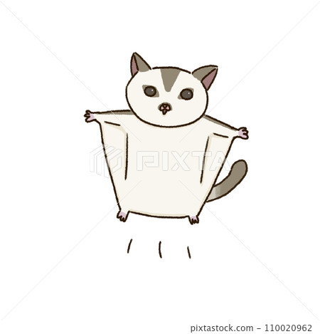 flying sugar glider flying sugar glider 110020962