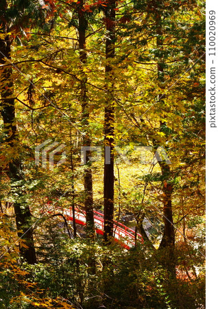 秋天的湯森公園（岐阜縣中津川市） 110020969