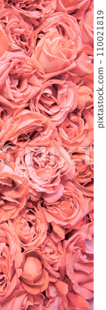 Natural background of rose petals 110021819