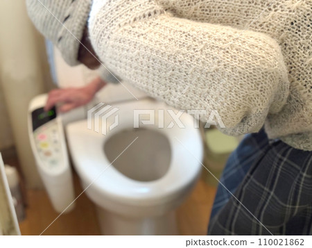 老婦人在西式廁所裡感到噁心 老婦人在西式廁所裡感到噁心 110021862