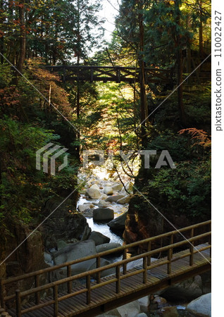 秋天的湯森公園(岐阜縣中津川市) 秋天的湯森公園(岐阜縣中津川市) 110022427