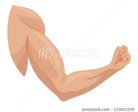 Male biceps muscles icons set. Sportsman arm with strong biceps. Vector symbol of healthy power. Athletic body with tense muscles hand isolated onwhite background 110022595