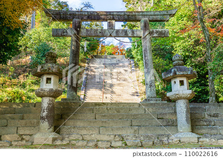 滋賀縣大津坂本日吉東照宮鳥居 110022616