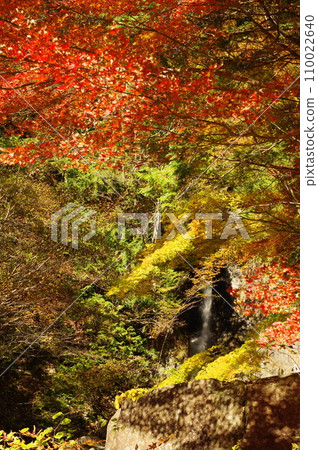 Autumn leaves at Yumori Park (Nakatsugawa City, Gifu Prefecture) Autumn leaves at Yumori Park (Nakatsugawa City, Gifu Prefecture) 110022640