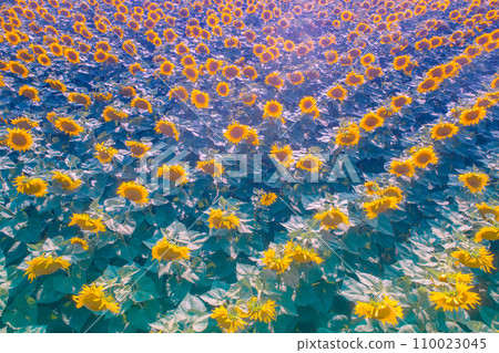 Summer landscape with sunflowers. Beautiful sunflower field. Countryside, rural landscape. Nature background. 110023045