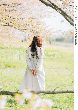The moment a woman surrounded by cherry blossoms turns around The moment a woman surrounded by cherry blossoms turns around 110023473