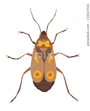 Oncopeltus varicolor. Insect icon flat isolated stock vector illustration Oncopeltus varicolor. Insect icon flat isolated stock vector illustration 110023581