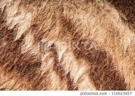 faux fur texture closeup 110023857