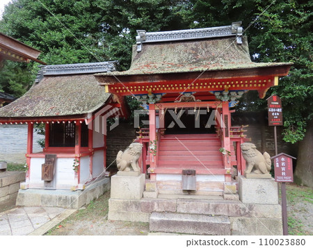 京都八幡市的石清水八幡神社的水若神社，親切地稱為八幡君 110023880