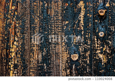 Image texture of a photograph of a baked cedar board fence processed with movie-style high contrast retouching. 110024008