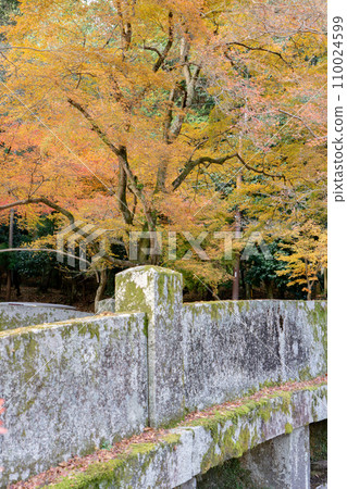 Hiyoshi Taisha Shrine, Ninomiya Bridge and autumn leaves in Sakamoto, Otsu City, Shiga Prefecture 110024599