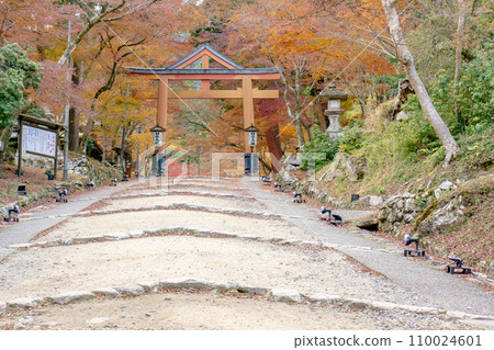 滋賀縣大津坂本的日吉大社、山王鳥居和秋葉 滋賀縣大津坂本的日吉大社、山王鳥居和秋葉 110024601