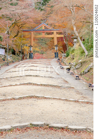 滋賀縣大津坂本的日吉大社、山王鳥居和秋葉 滋賀縣大津坂本的日吉大社、山王鳥居和秋葉 110024602