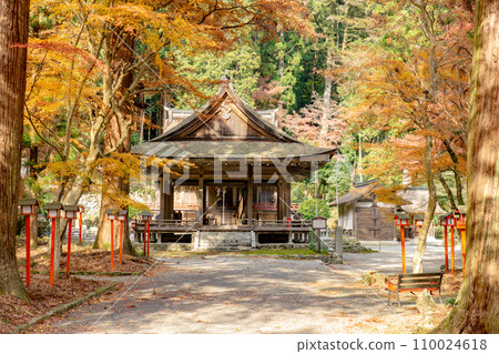 Hiyoshi Taisha Sessha Usamiya Worship Hall and autumn leaves in Sakamoto, Otsu City, Shiga Prefecture 110024618