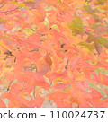 Soft autumn leaves like a Japanese painting 110024737
