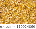 Ginkgo leaves spread all over 110024860