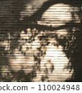 Exterior wall with shadow of tree 110024948