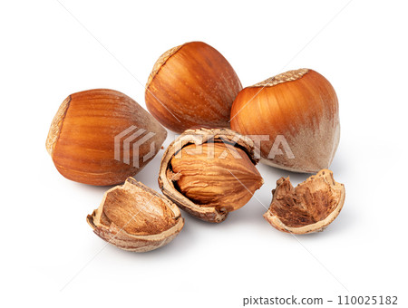 Hazelnuts on white background Hazelnuts on white background 110025182