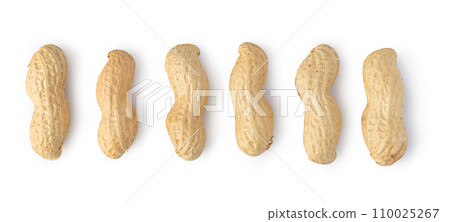 peanuts on a white background 110025267