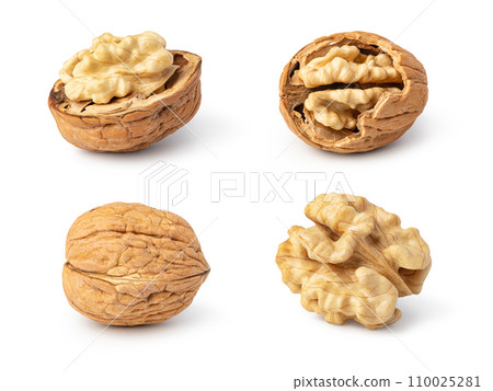 Walnut on white background Walnut on white background 110025281