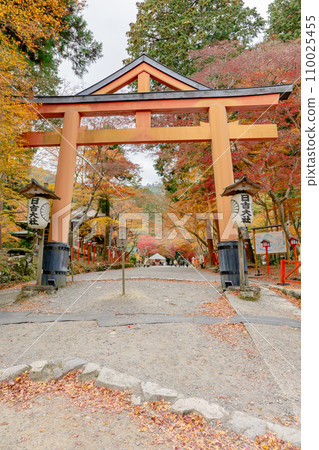 Hiyoshi Taisha Shrine in Sakamoto, Otsu City, Shiga Prefecture, Sanno Torii and autumn leaves Hiyoshi Taisha Shrine in Sakamoto, Otsu City, Shiga Prefecture, Sanno Torii and autumn leaves 110025455