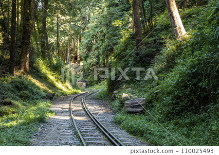 The old forest railway section of the Shuishan Trail at Alishan Forest Recreation Area in Chiayi, Taiwan. Now obsolete and unable to operate. 110025493