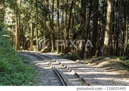The old forest railway section of the Shuishan Trail at Alishan Forest Recreation Area in Chiayi, Taiwan. Now obsolete and unable to operate. 110025495