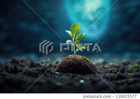 Spring small green sprout grows on the ground. On nature background. Spring small green sprout grows on the ground. On nature background. 110025577
