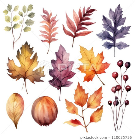 set of watercolor leaves mushrooms and berries on white 110025736