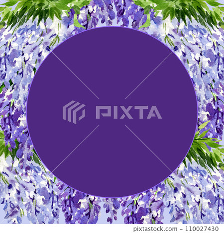 watercolor round frame with branch of wisteria blossom flowers, hand drawn illustration with spring lilac flowers, blue plant on purple background 110027430