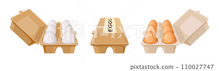 Chicken eggs on trays color vector icon set on white 110027747