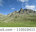 Rocky mountains and cow grazing near Filisur, Switzerland 110028415