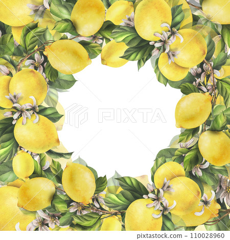 Lemons are yellow, juicy, ripe with green leaves, flower buds on the branches, whole and slices. Watercolor, hand drawn botanical illustration. Frame, template on a white background. 110028960