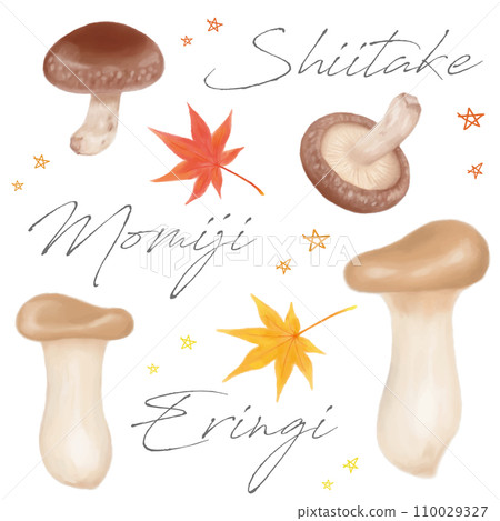 Shiitake maple eryngii hand drawn watercolor illustration set 110029327