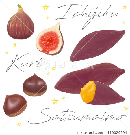 無花果地瓜手繪水彩插圖集 110029594