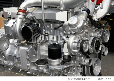 Diesel engine 110030666