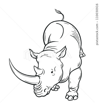 African animal rhinoceros 110030916