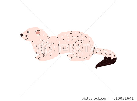 Sitting ermine tundra animal isolated vector illustration. Sitting ermine tundra animal isolated vector illustration. 110031641