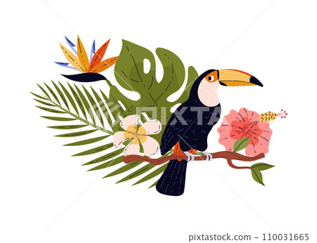 Toucan, tropical bird on a green branch, cartoon vector illustration 110031665