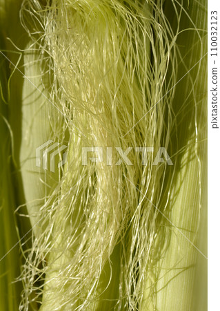 Corn silk and husks Corn silk and husks 110032123