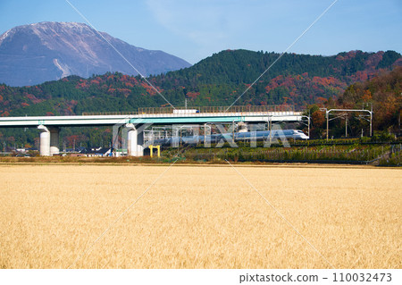 東海道新幹線在高速公路下行駛 東海道新幹線在高速公路下行駛 110032473
