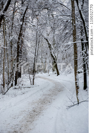 Winter forest. Beautiful winter landscape with pathway. Winter forest. Beautiful winter landscape with pathway. 110032770