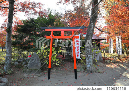 Inari Daimyojin, autumn leaves scenery, Tamonin precincts, Tokorozawa City 110034336