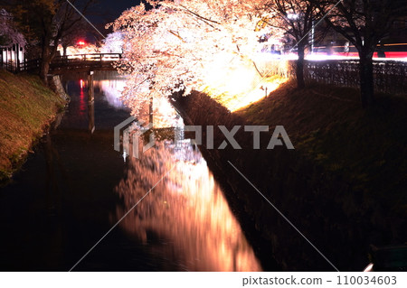 春天夜晚的櫻花燈火通明 110034603