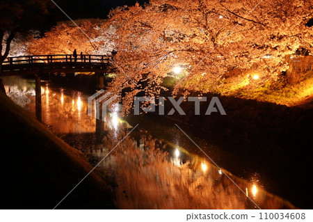 Cherry blossoms at night Cherry blossoms at night 110034608