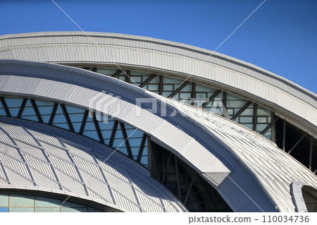 Tokyo Tatsumi International Swimming Center (Koto Ward, Tokyo) 110034736