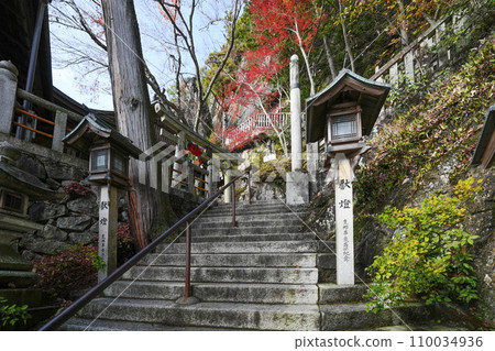 Tarobo Shrine (Tarobo/Aga Shrine) Omotesando stone steps 110034936