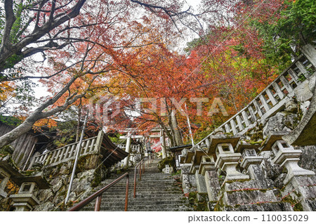 太郎坊神社（太郎坊/阿迦神社） 表參道 110035029