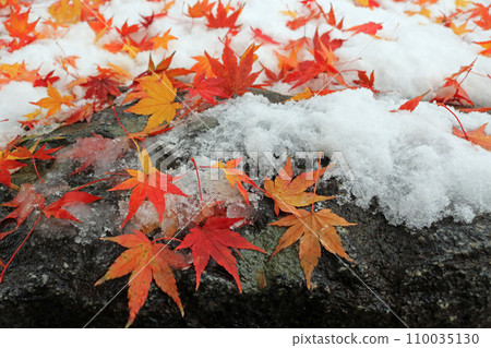 Image of stone wall, snow and fallen leaves Image of stone wall, snow and fallen leaves 110035130